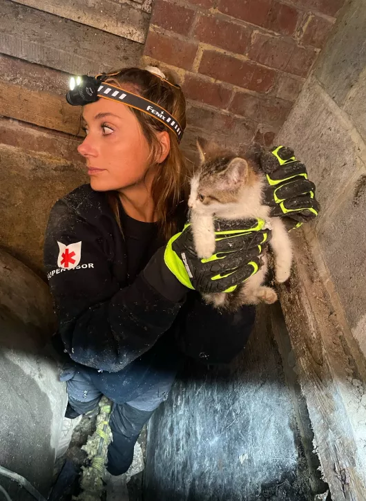 rescue chat