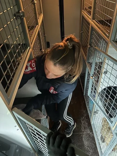 adt saisie chien chat âne ezel honden katten pony poney rescue 